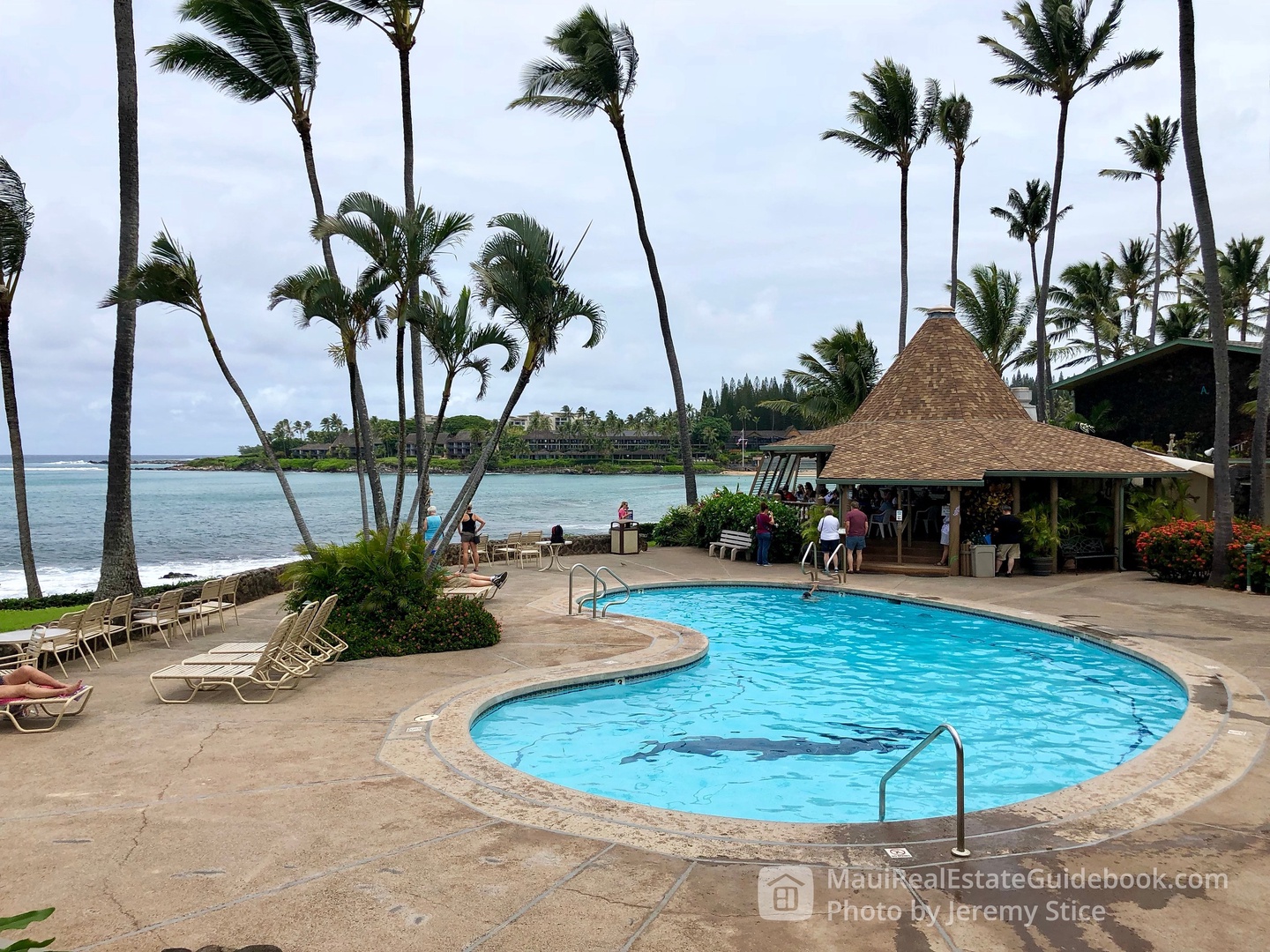 Lahaina Vacation Rentals, Napili Shores F-252 - Lower ocean front pool