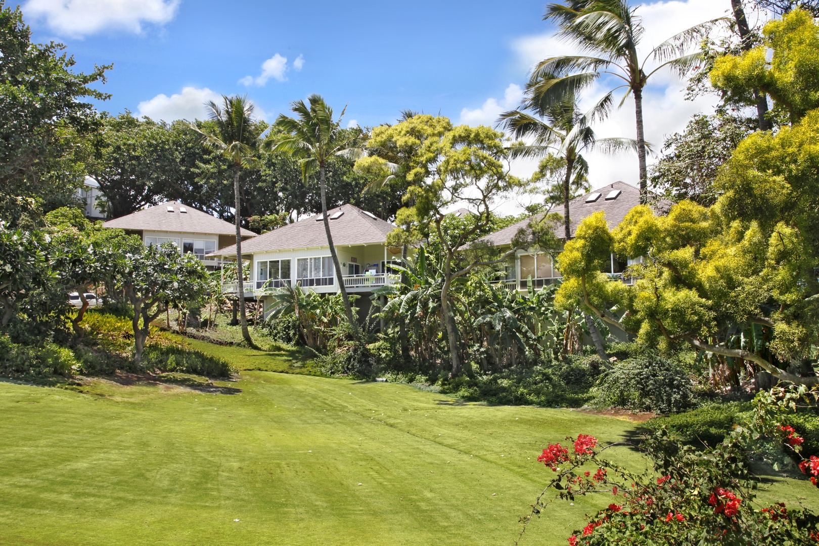 Koloa Vacation Rentals, Kauai Birdsong at Poipu Crater - Enjoy the lush green garden while strolling in the morning.