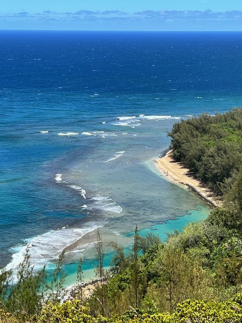 Princeville Vacation Rentals, Pili Aloha - Overhead view of a captivating coastline and turquoise waters.