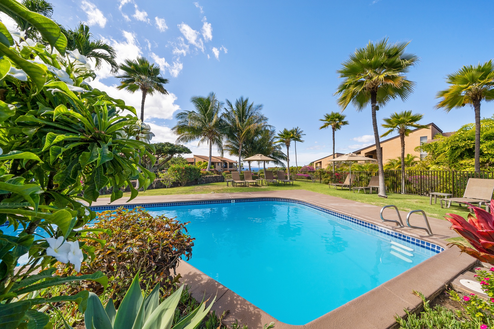 Kihei Vacation Rentals, Wailea Ekolu 1605 - The serene pool at Wailea Ekolu Resort, surrounded by lush greenery, offers a perfect spot to unwind.