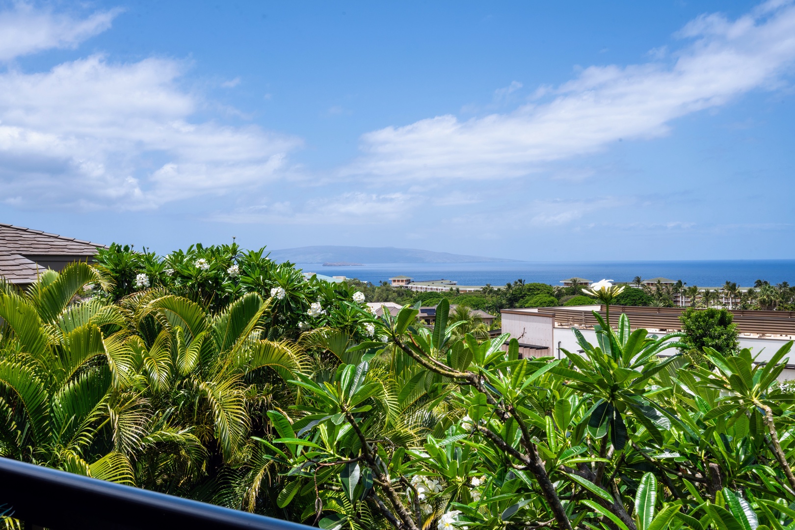 Kihei Vacation Rentals, Wailea Ekolu 204 - From the lanai rail, plumeria blossoms frame a straight shot to the water, Kaho'olawe rising faint on the horizon on a clear day.