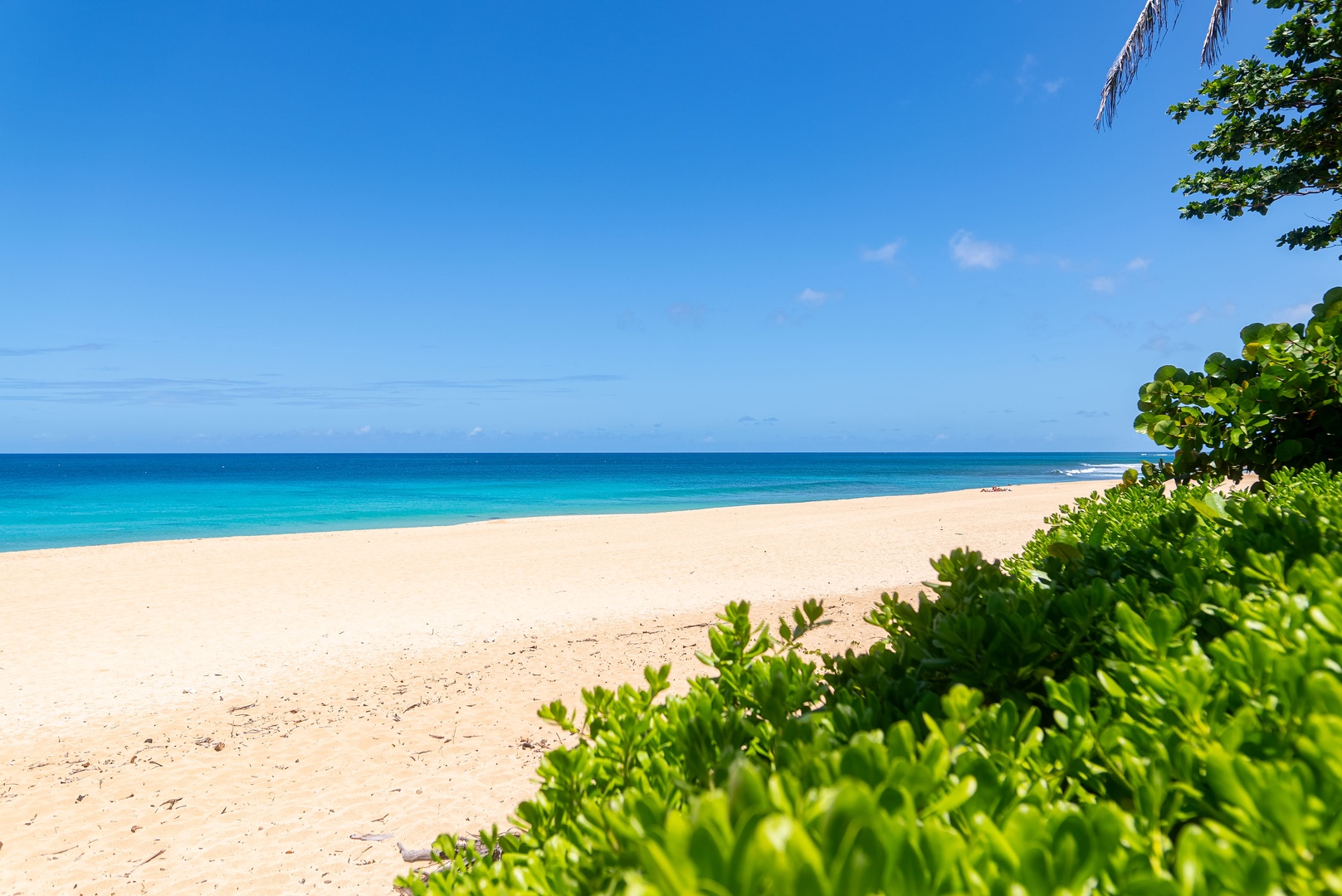 Haleiwa Vacation Rentals, Hale Nalu (Lower Level) - Just beyond your doorstep, soft sands and turquoise waves beckon under the Hawaiian sun.