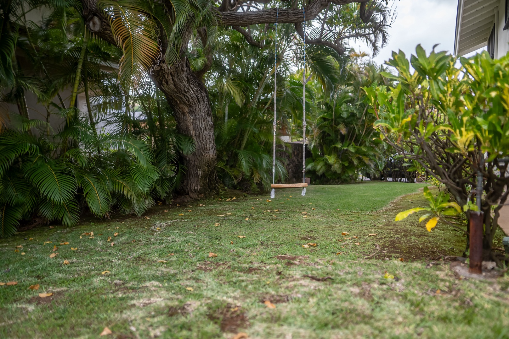 Honolulu Vacation Rentals, Honolulu Beachfront Retreat - Peaceful garden view with a hammock inviting guests to unwind under the shade of tropical trees, the perfect spot for an afternoon nap or quiet reading.
