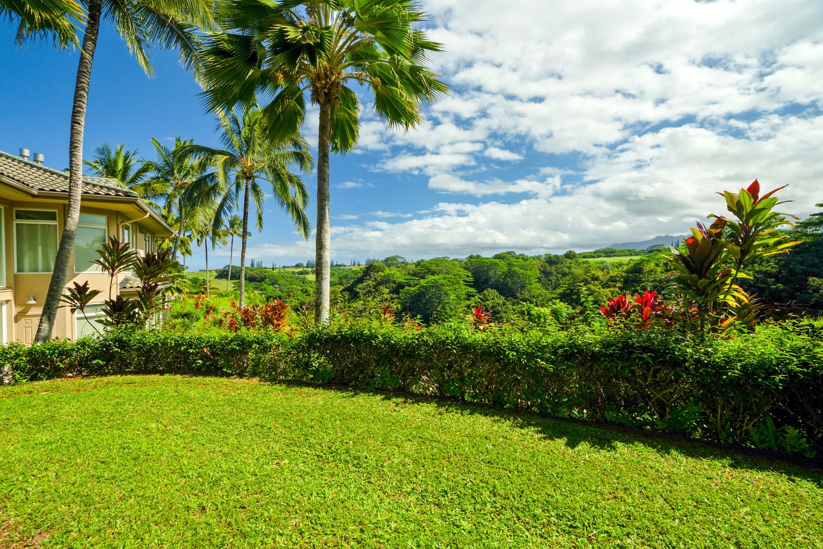 Princeville Vacation Rentals, Kaiulani #8 - Toss a ball across open lawn that ends at a hedge of red ti and tall palms.