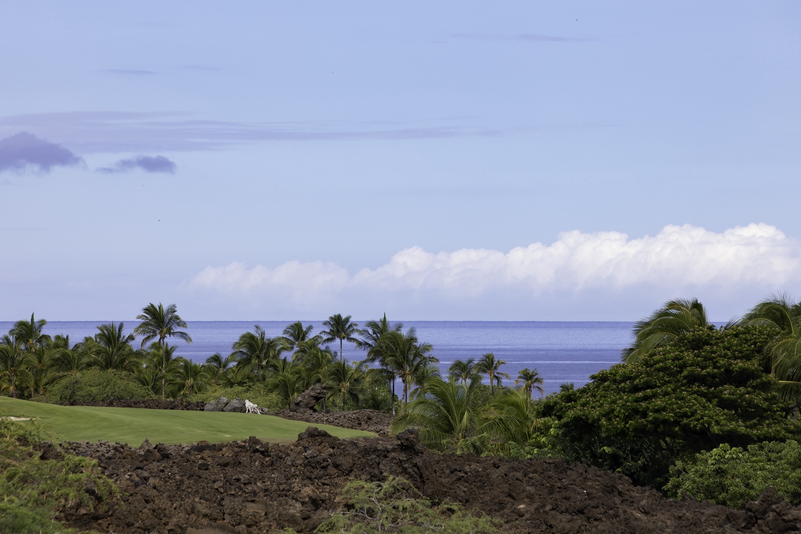 Kamuela Vacation Rentals, Champion Ridge 7 - Tropical golf course with lush palm trees and stunning ocean backdrop creates the perfect Hawaiian getaway setting.
