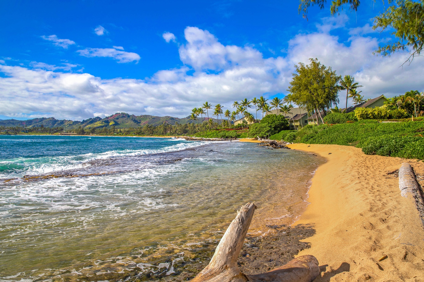 Kapa'a Vacation Rentals, Islander on the Beach #232 - Take a morning stroll down the beach, just a few steps from your home.