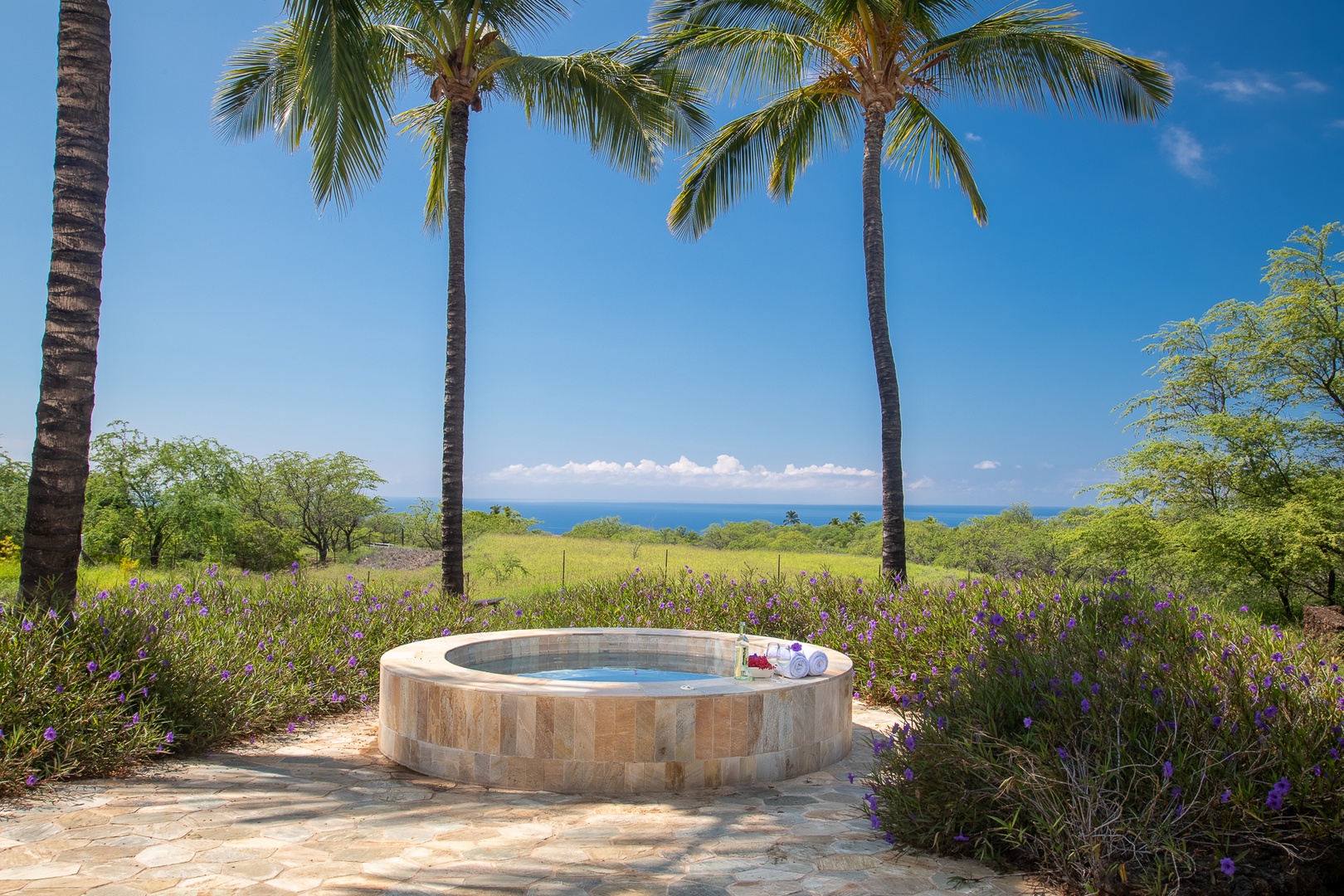 Kamuela Vacation Rentals, Olomana Hale at Kohala Ranch - Personal tub overlooking the Ocean
