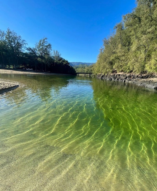 Princeville Vacation Rentals, Pili Aloha - Tranquil freshwater stream surrounded by nature's beauty.