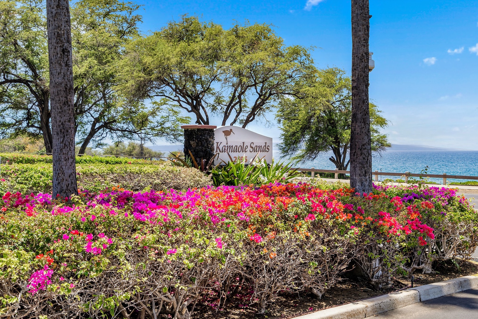 Kihei Vacation Rentals, Kamaole Sands 5310 - Turn in at the Kamaole Sands sign, bougainvillea in full bloom with the ocean just across the road.