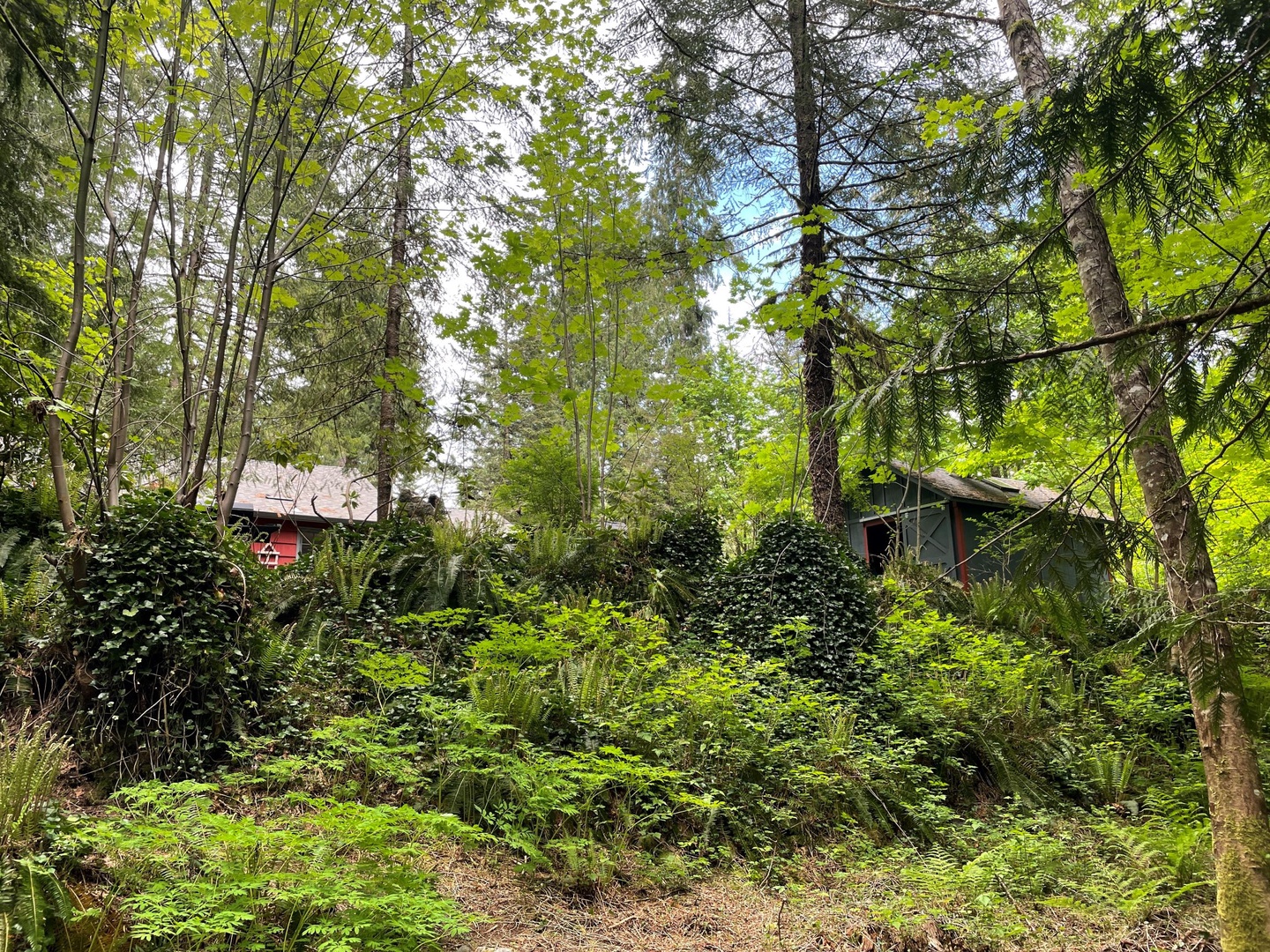 Brightwood Vacation Rentals, Springbrook Cabin - View of house from lower yard