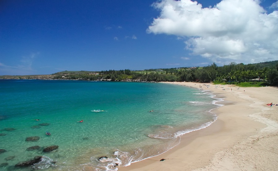 Kapalua Vacation Rentals, Ocean Dreams Premier Ocean Grand Residence 2203 at Montage Kapalua Bay* - D.T. Fleming Beach, recently rated in the Top 5 best American beaches!
