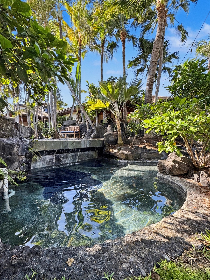 Kailua-Kona Vacation Rentals, Hahalua Bay Villa - A tropical natural pool surrounded by swaying palms and lush vegetation creates a private paradise retreat.