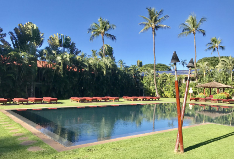 Lahaina Vacation Rentals, Aina Nalu F201: Top Floor, Hawaiian Hideaway in the Heart - Beautiful infinity pool