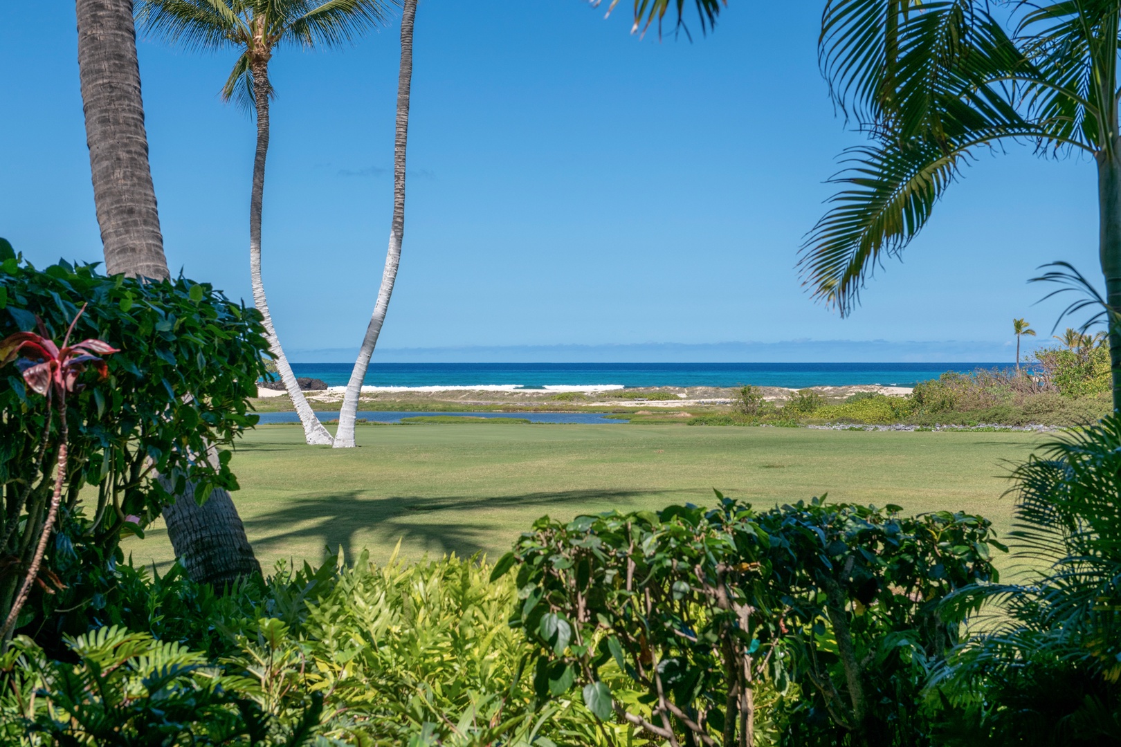 Kailua Kona Vacation Rentals, 3BD Golf Villa (3101) at Four Seasons Resort at Hualalai - Close up of view from primary lanai.