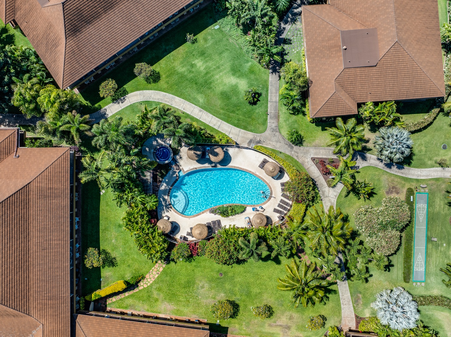 Lahaina Vacation Rentals, Maui Kaanapali Villas 292 - This quiet pool near Maui Kaanapali Villas 292 is perfect for a peaceful swim under the palms.