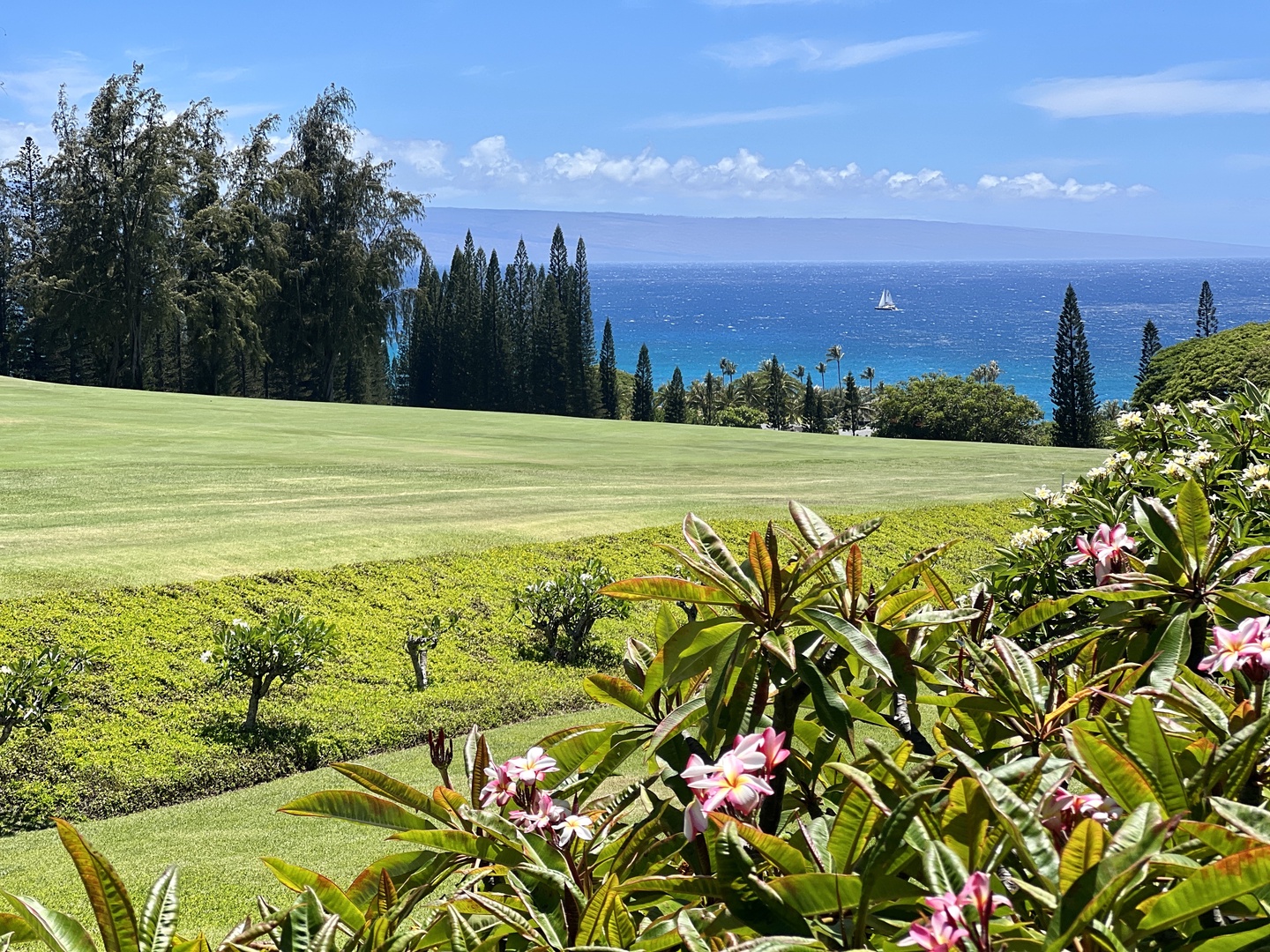 Lahaina Vacation Rentals, Kapalua Ridge 2321 - This image showcases a beautifully manicured lawn and lush greenery with a breathtaking view of the ocean in the background