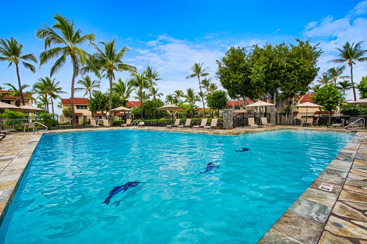 Kailua Kona Vacation Rentals, Keauhou Kona Surf & Racquet 1104 - Lounge in style beside the shimmering pool on comfortable chaise lounges — the perfect spot for sunbathing and serene relaxation.