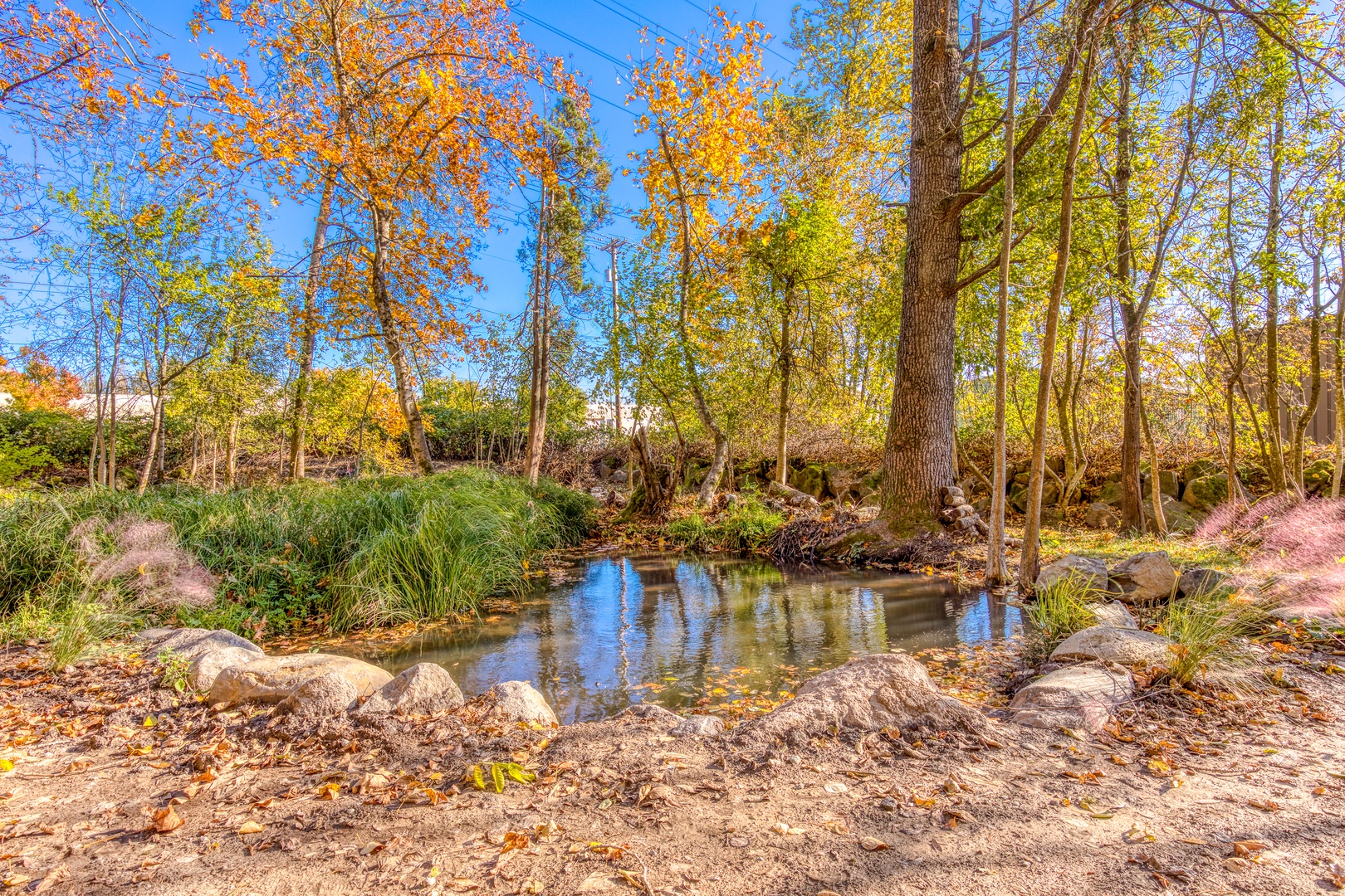 Clackamas Vacation Rentals, Duck Crossing - Sit out by the small pond