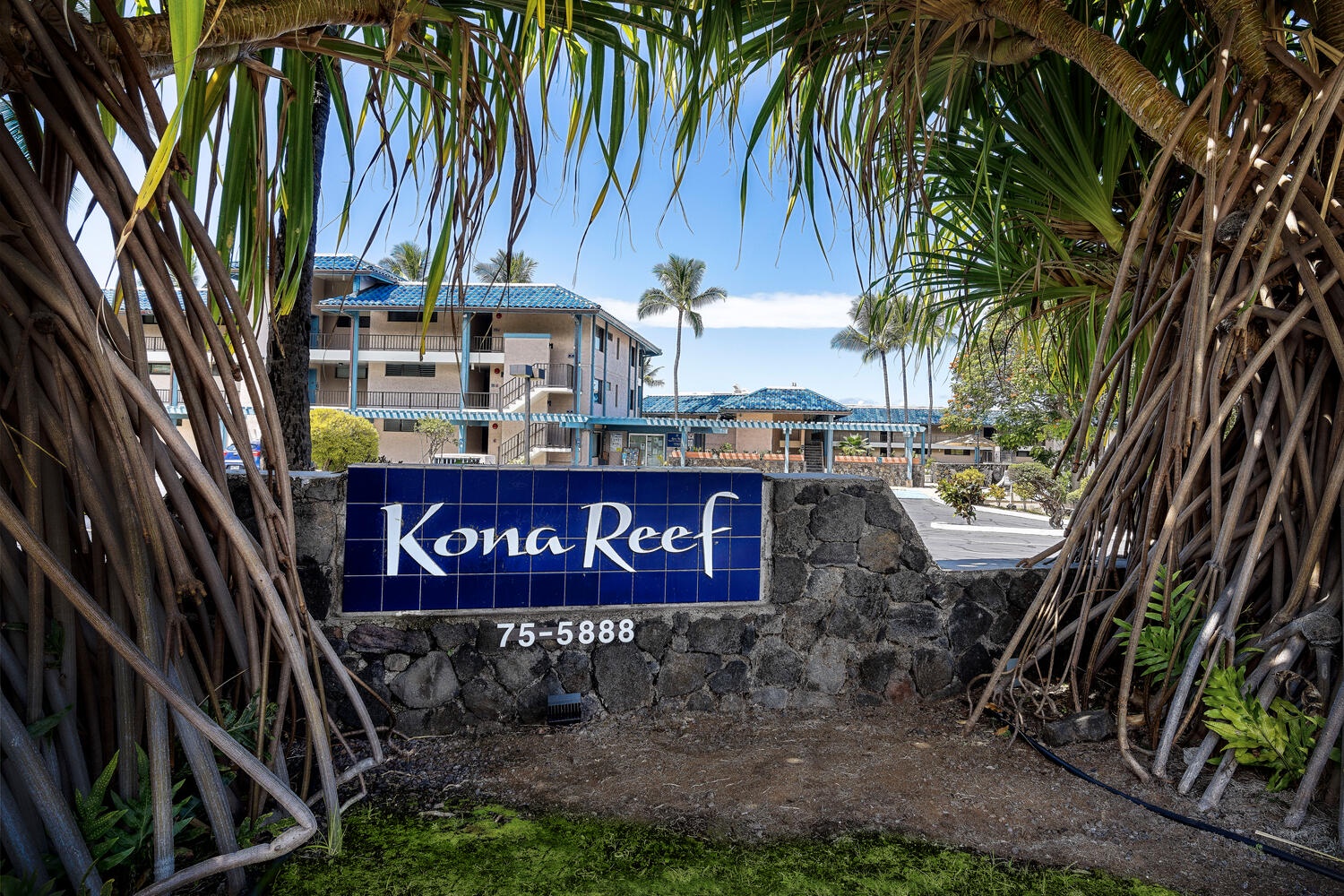 Kailua-Kona Vacation Rentals, Kona Reef B32 - Welcome to Kona Reef!