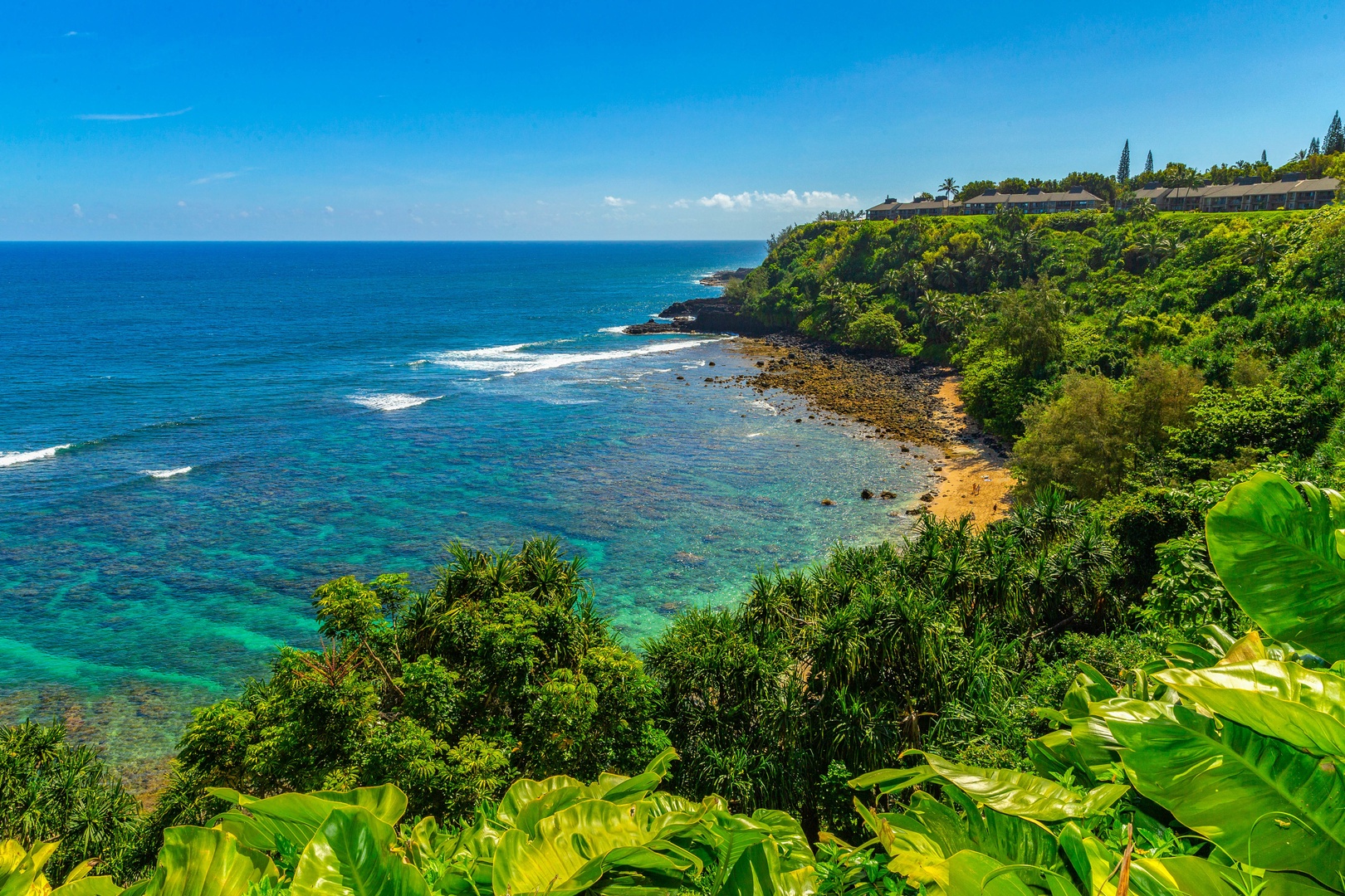 Princeville Vacation Rentals, Ola Hou - Main House - Scenic coastline with vibrant green cliffs meeting the blue ocean.