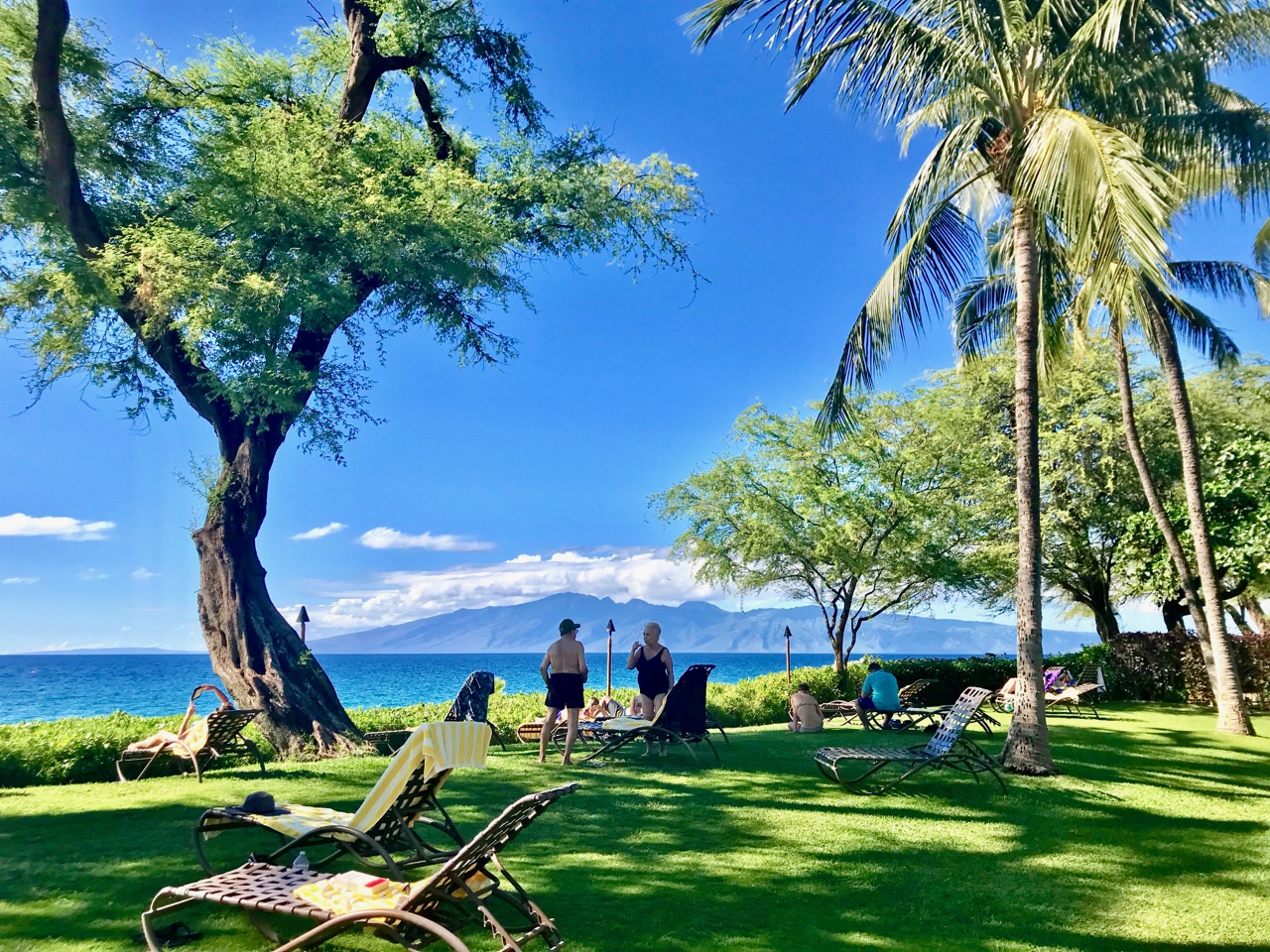 Lahaina Vacation Rentals, Maui Kaanapali Villas 292 - Relax in the serene, shaded lawn area, perfect for enjoying the breathtaking ocean views and the company of friends or family