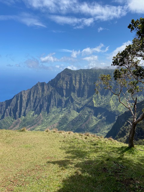 Princeville Vacation Rentals, Pili Aloha - Stunning vista of majestic mountains under a clear blue sky.