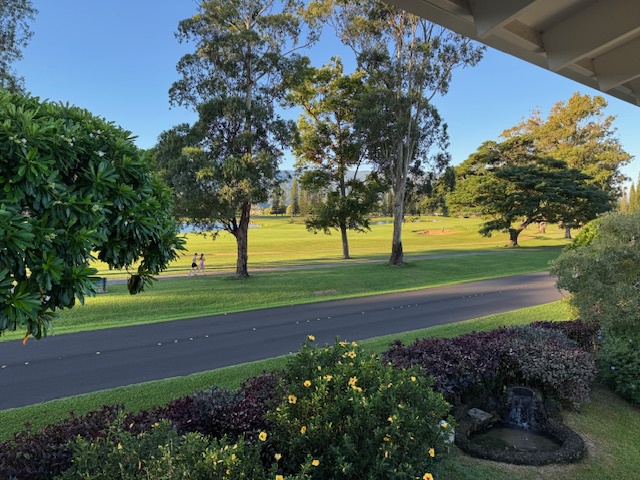 Princeville Vacation Rentals, Pili Aloha - Picturesque road lined with trees and vibrant landscaping.