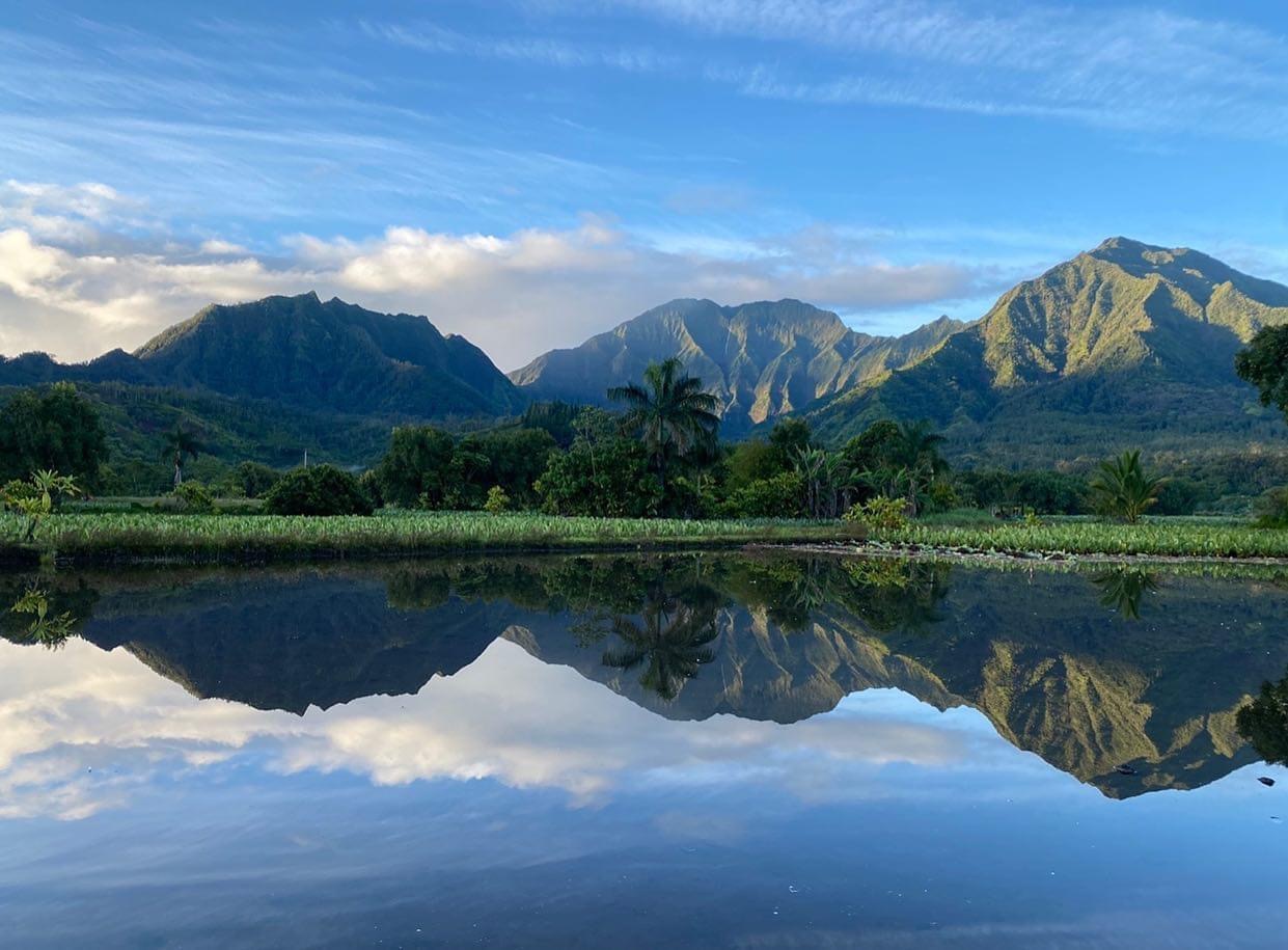 Princeville Vacation Rentals, Pili Aloha - Stunning view of lush greenery and a tranquil water scene.