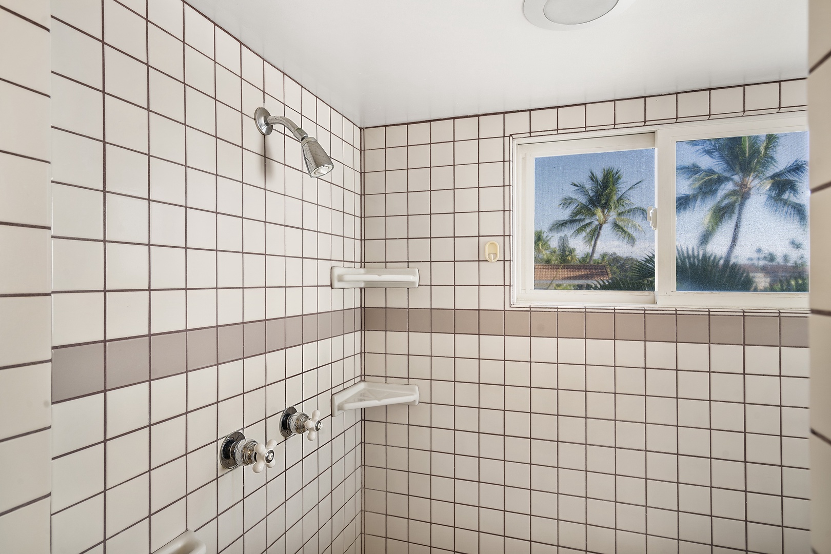 Kailua Kona Vacation Rentals, Dolphin Manor - Walk in shower with ocean views!