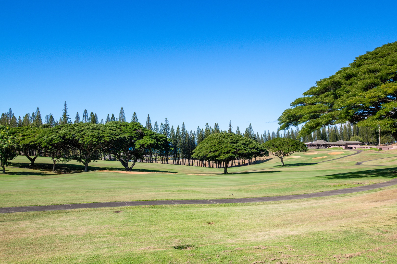 Lahaina Vacation Rentals, Kapalua Golf Villas 15P3-4 - Kapalua Bay golf course