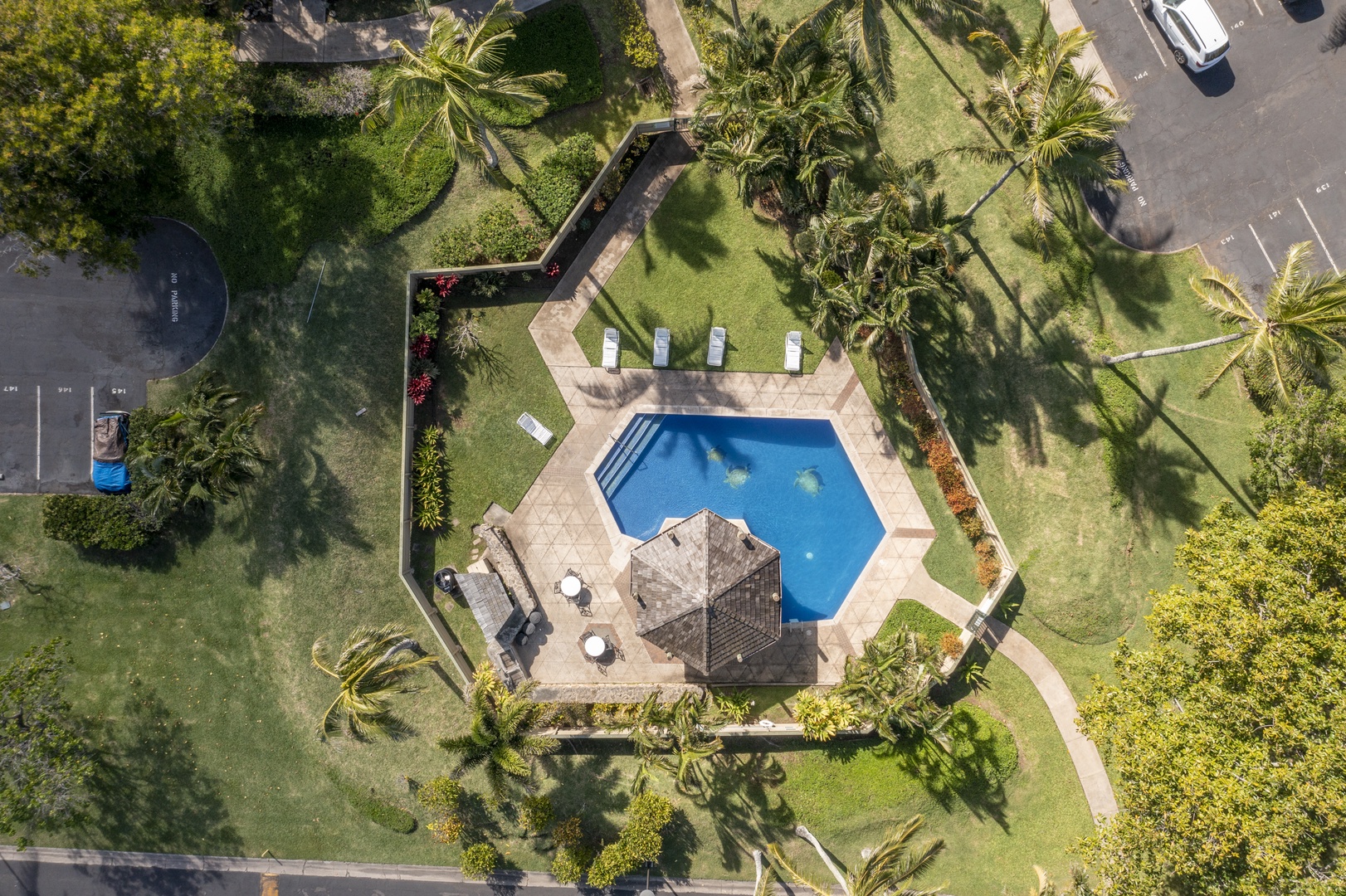 Kahuku Vacation Rentals, Kuilima Estates West #120 - Community Pool, a minute’s walk away