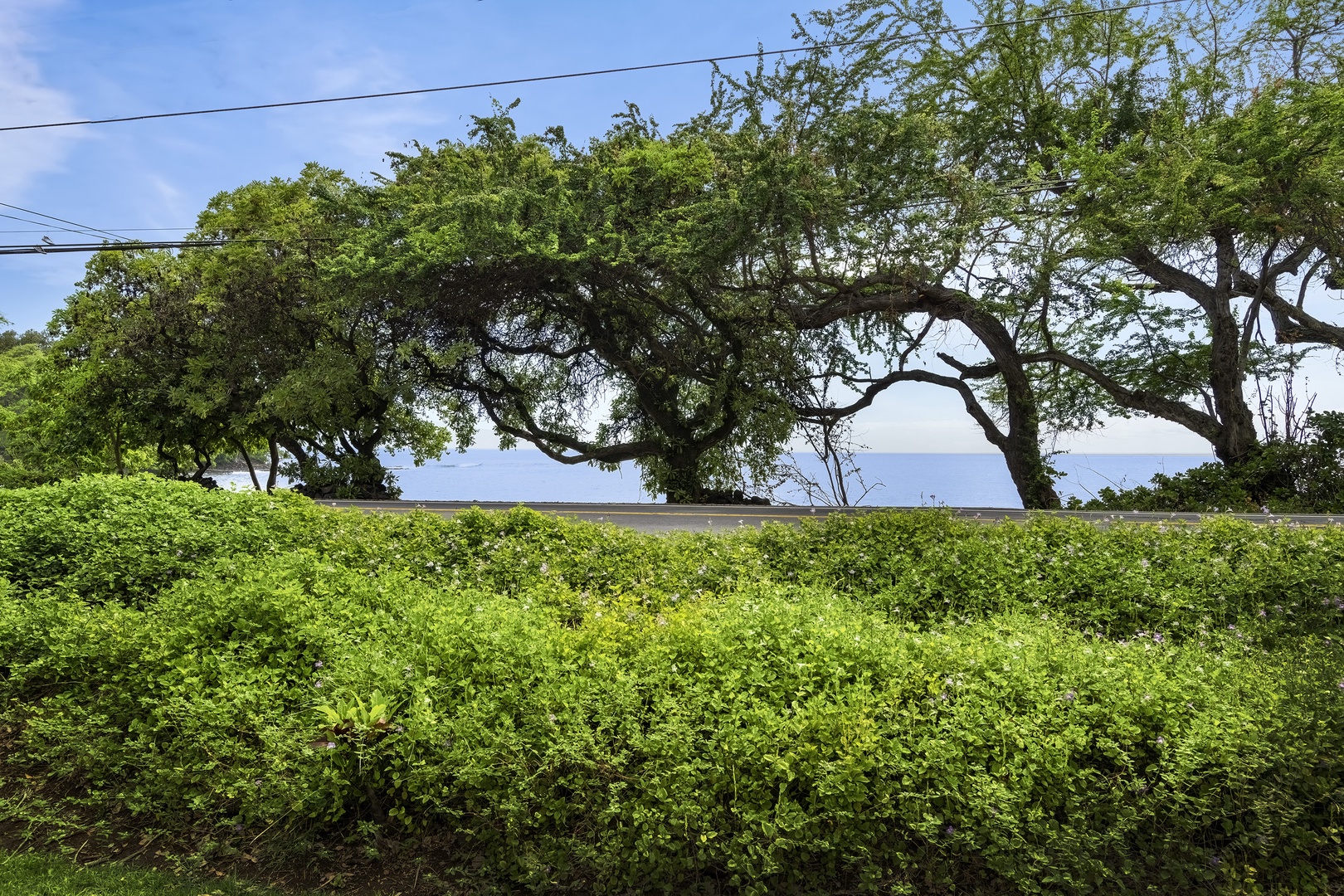 Kailua Kona Vacation Rentals, Lymans Bay Hale - Views of the Front Yard
