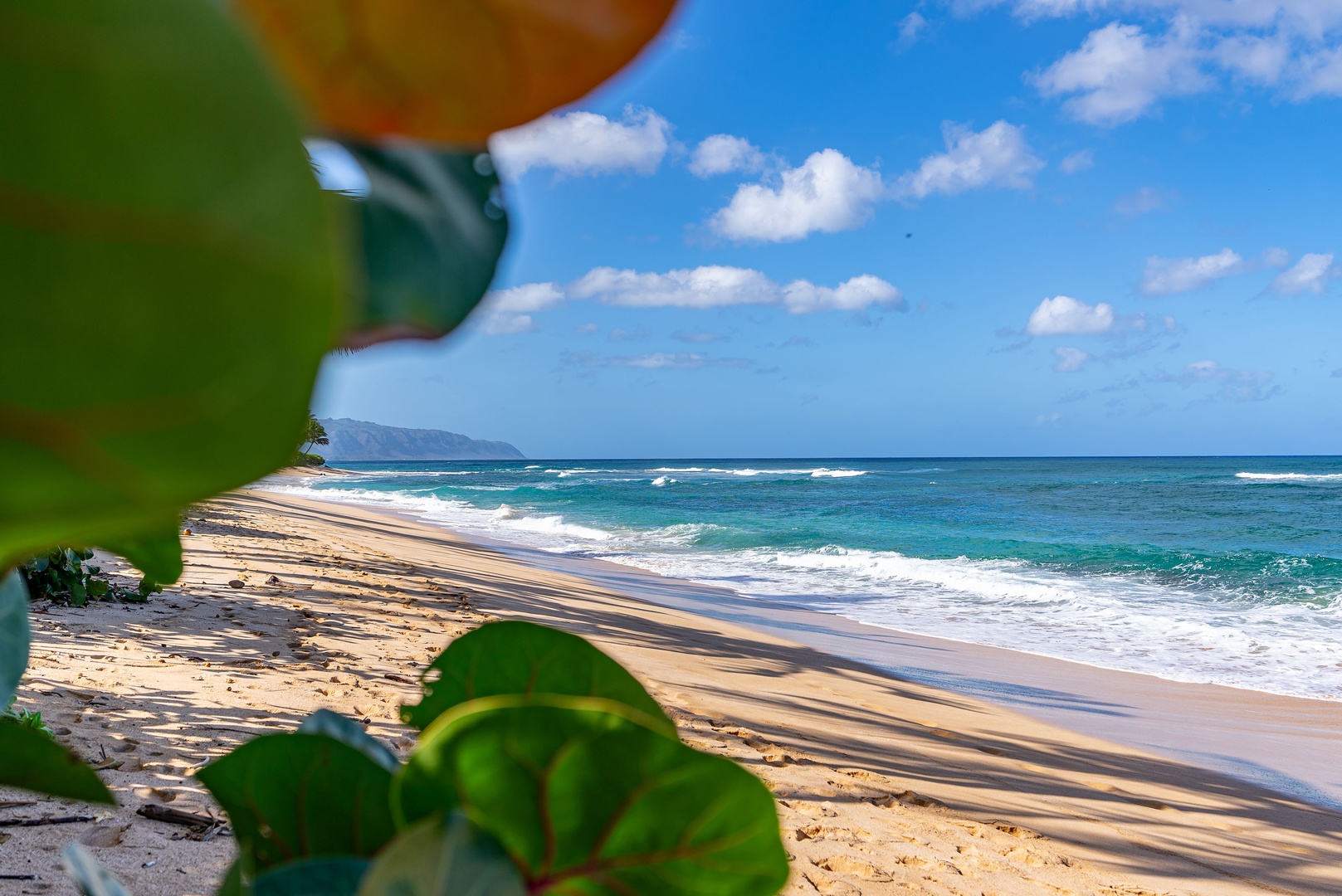 Haleiwa Vacation Rentals, North Shore Beachfront Resort - Tranquil sandy beach framed by lush greenery.