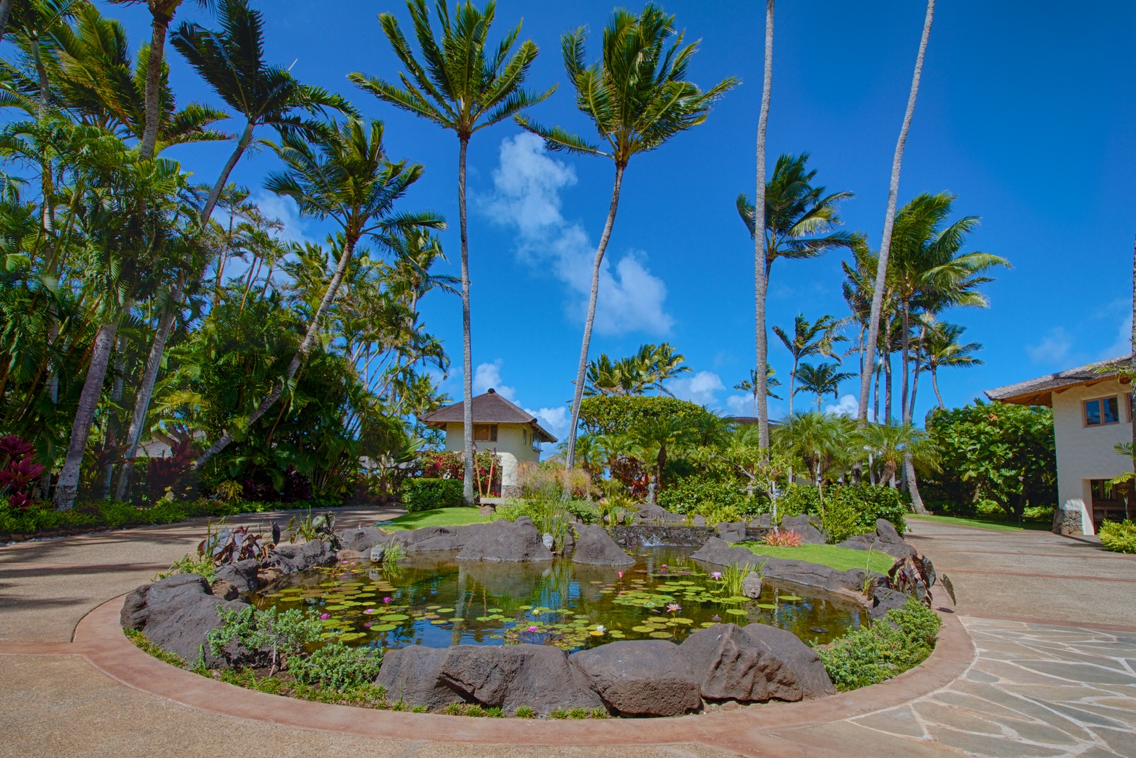 Kailua Vacation Rentals, Paul Mitchell Estate- 5 Bedroom* - Main Pond