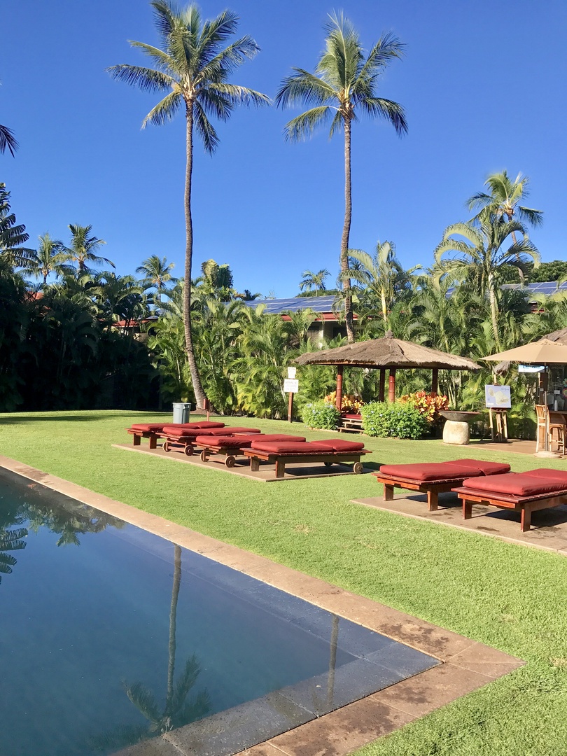 Lahaina Vacation Rentals, Aina Nalu D103 - There are plenty of lounge chairs poolside to soak up the island sun