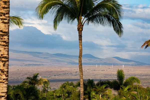 Kamuela Vacation Rentals, Canoe House & Beach Walker at Champion Ridge - Views.
