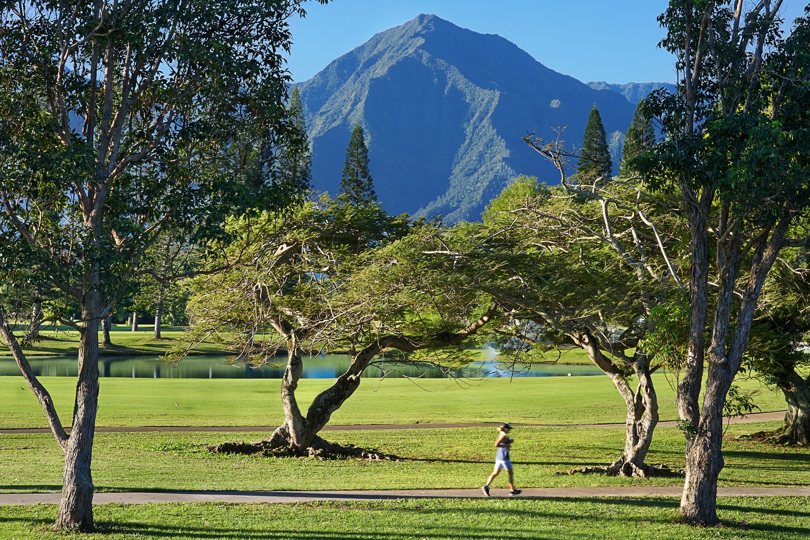 Princeville Vacation Rentals, Casa Makara - Mountain views and the tropical island setting is perfection!