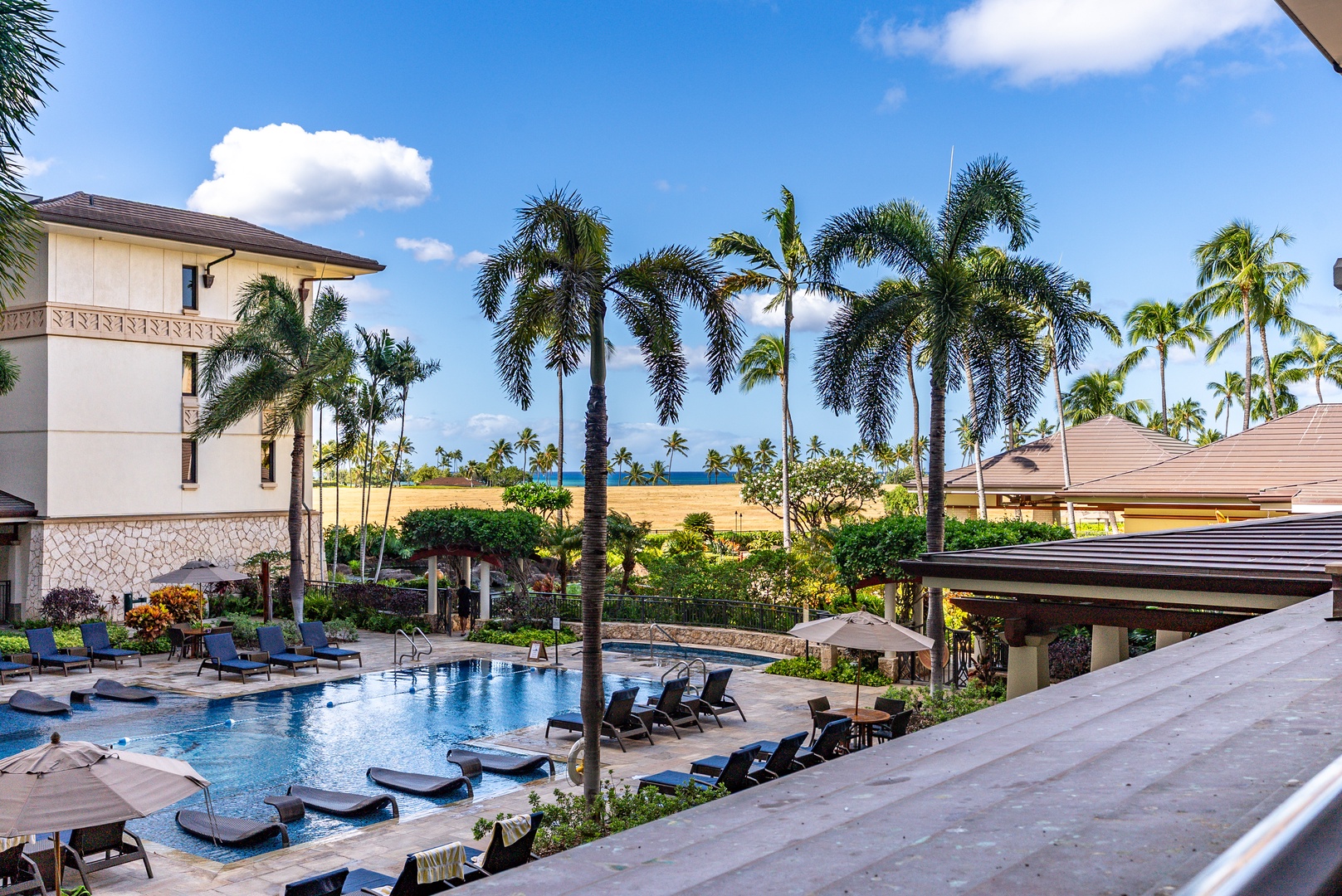 Head down to the resort pool, palms and loungers lined up in the afternoon sun.