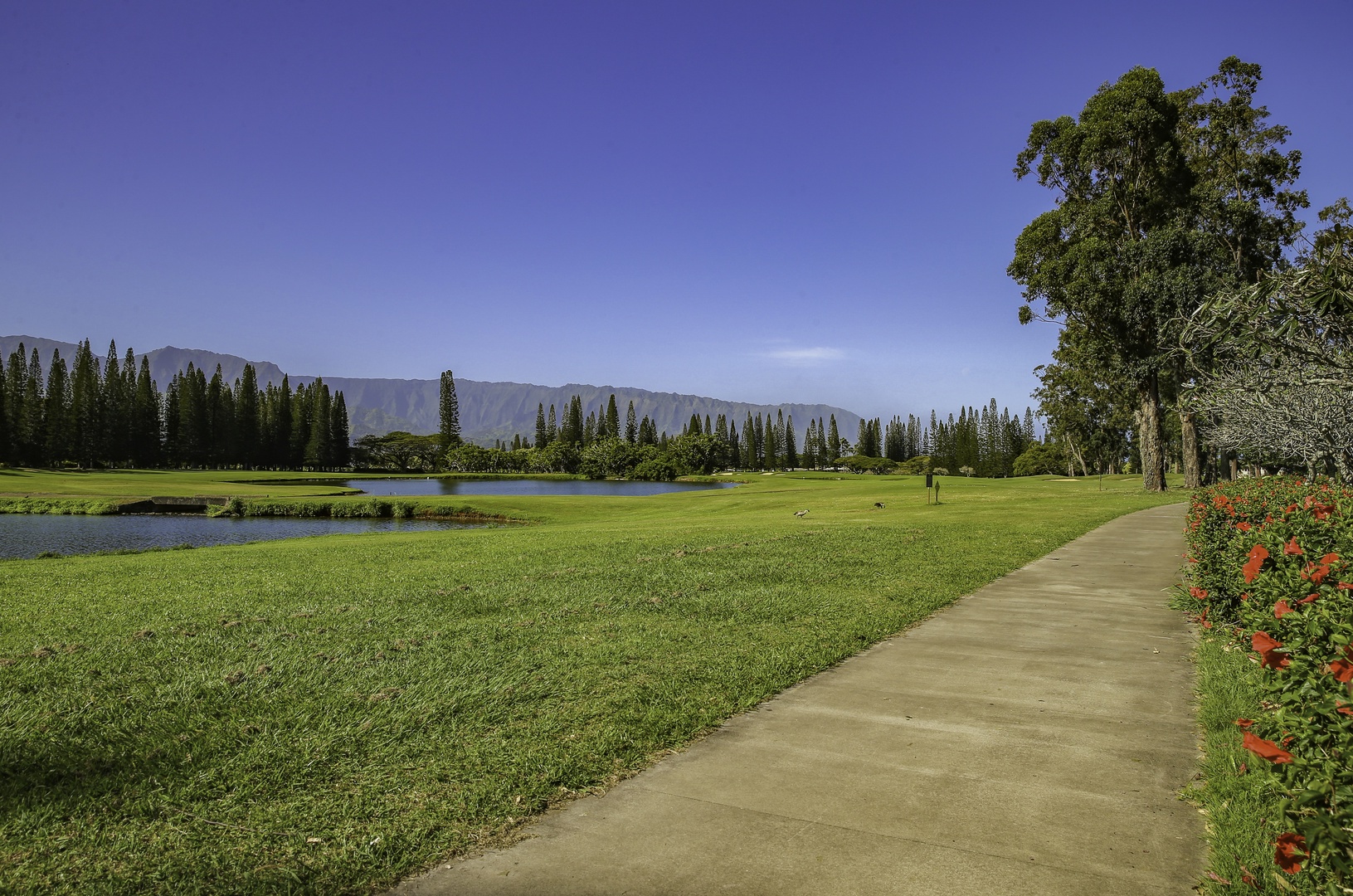 Princeville Vacation Rentals, Pualani Villa - Peaceful walking path, surrounded by tropical landscaping.