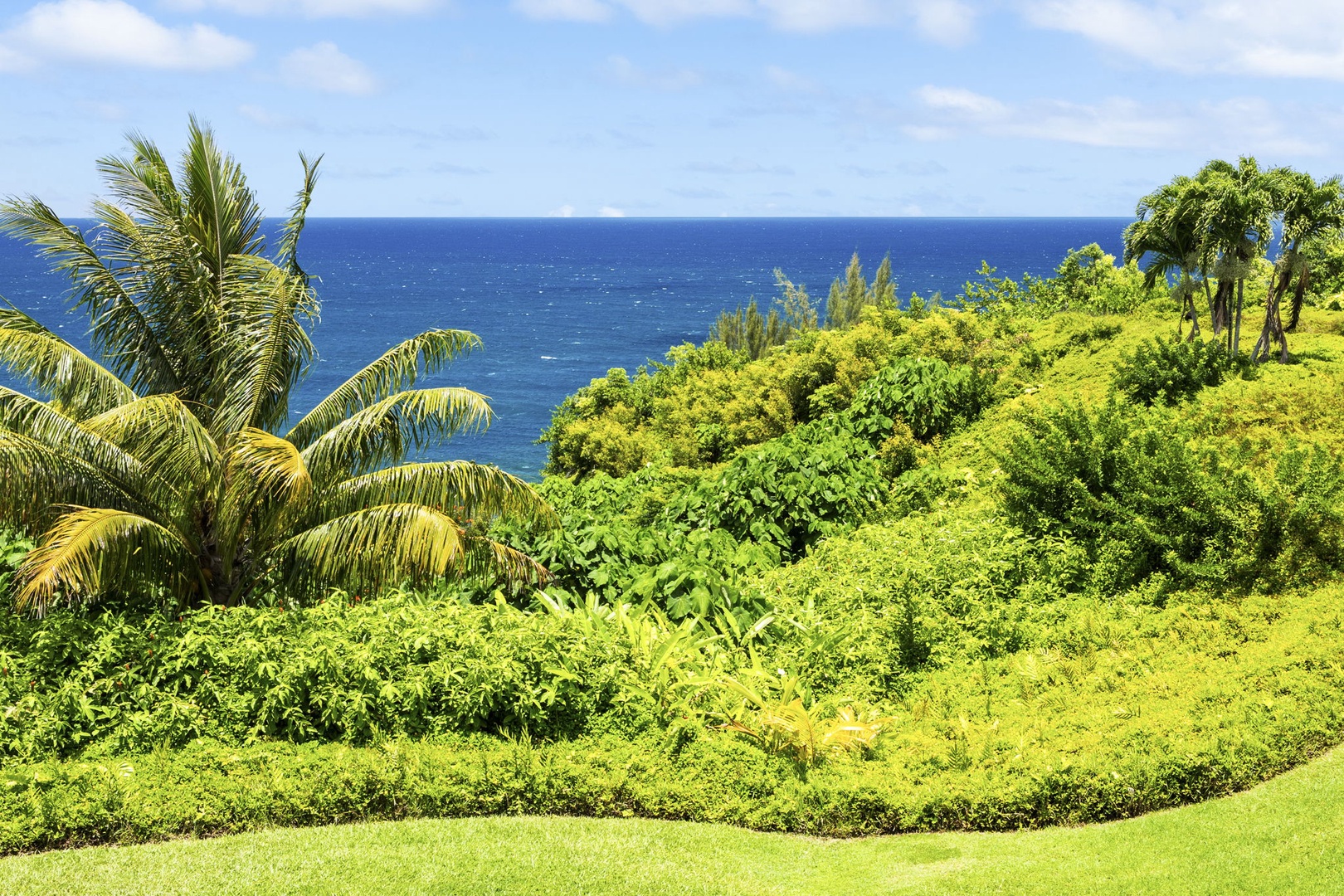 Princeville Vacation Rentals, Alii Kai 7201 - The green falls away to open water, the view you booked the whole trip for.