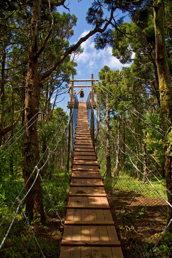 Kapalua Vacation Rentals, Ocean Dreams Premier Ocean Grand Residence 2203 at Montage Kapalua Bay* - Kapalua Area Zipline! Kapalua Adventures Mountain Outpost Zip Line Tours