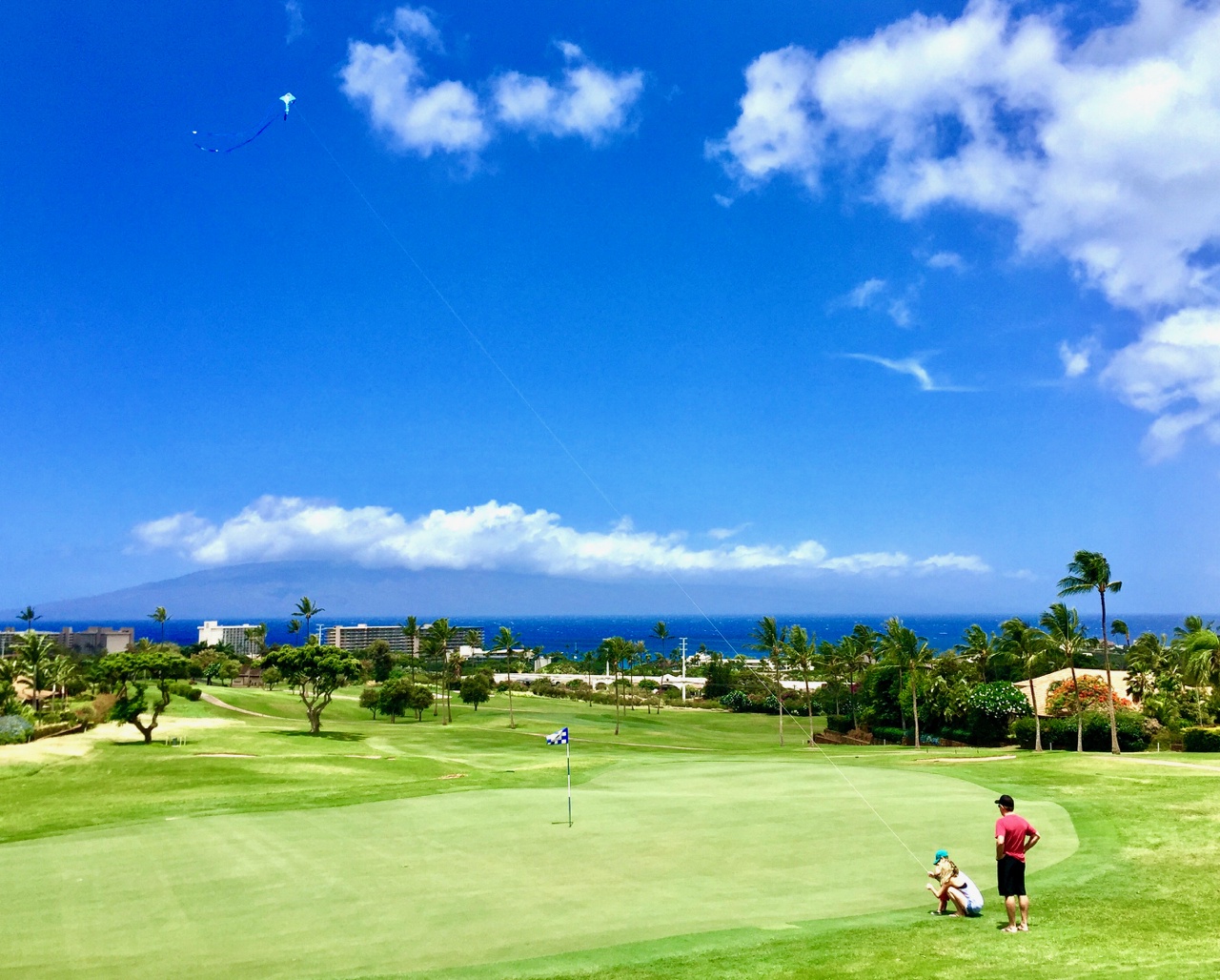 Lahaina Vacation Rentals, Kaanapali Royal Q-202 - Be fond of the wonderful gold course.