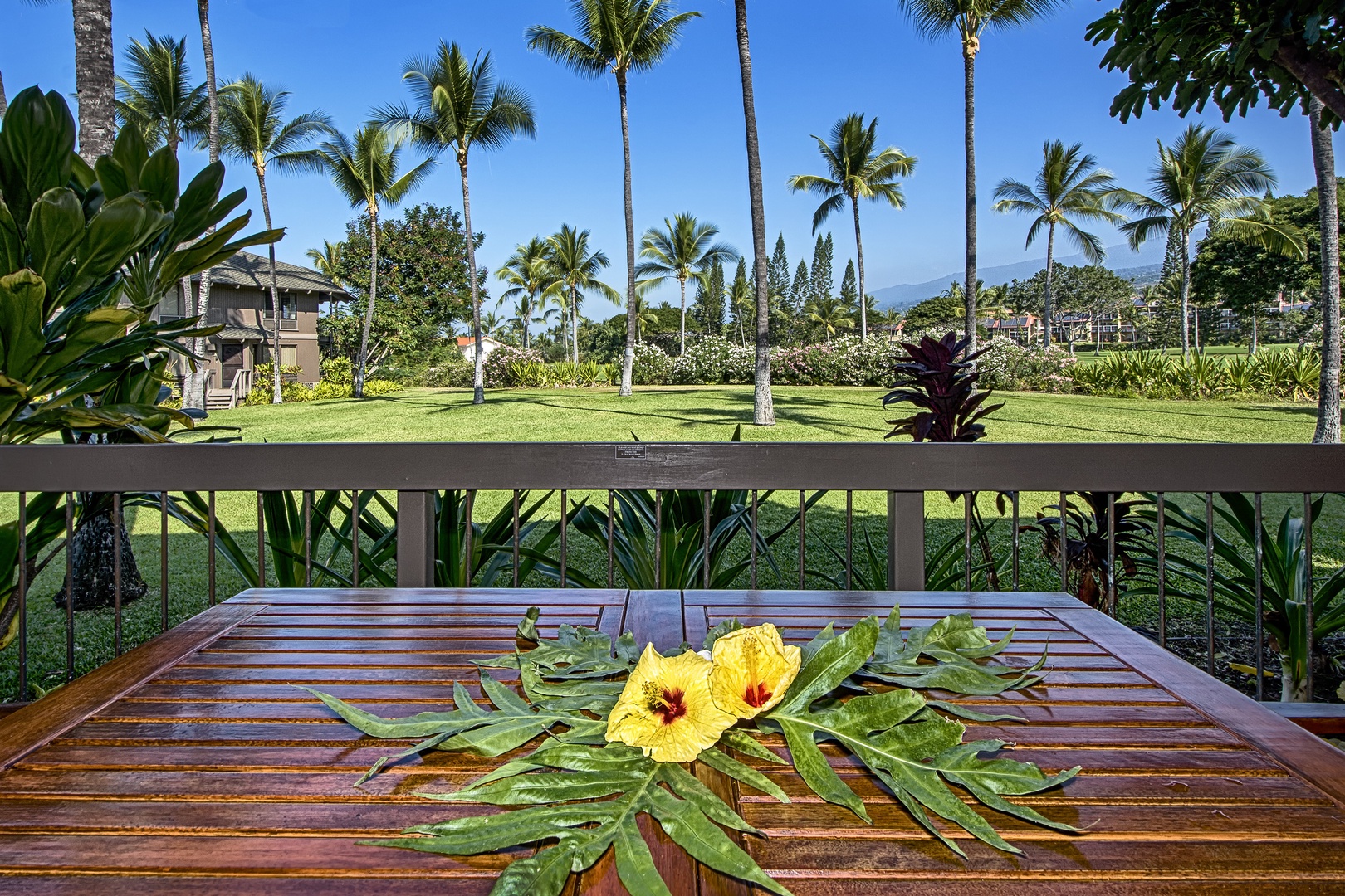 Kailua Kona Vacation Rentals, Kanaloa at Kona 701 - Beautiful golf course views from the Private Lanai