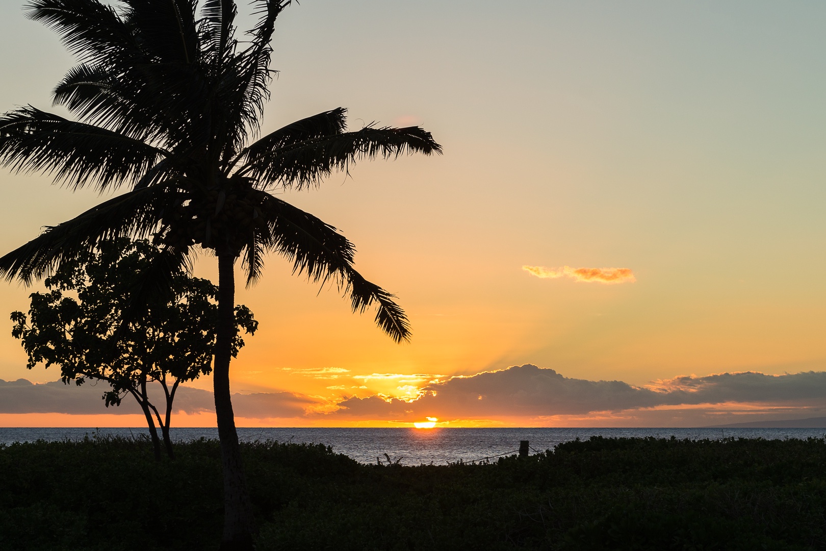 Lahaina Vacation Rentals, Honua Kai Konea 206 - Ocean views and sandy toes await at Honua Kai Konea.