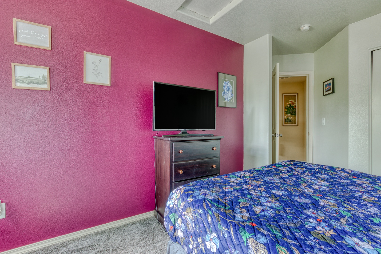 Clackamas Vacation Rentals, Duck Crossing - There's also a 55" TV