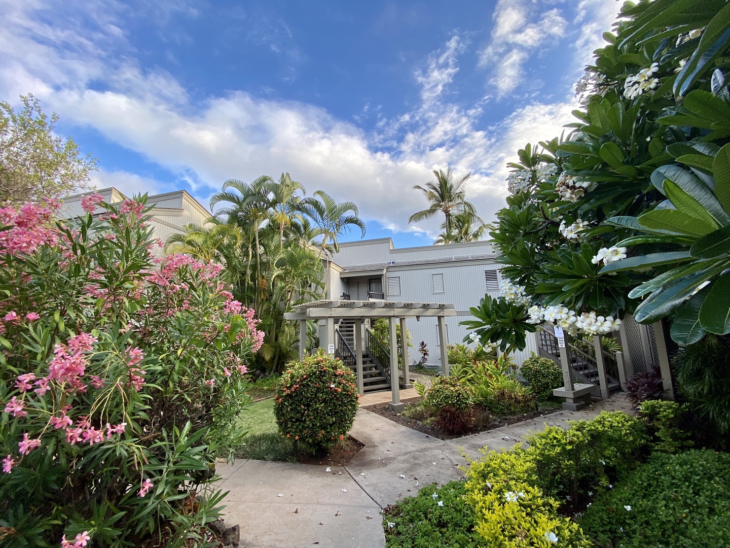 Kihei Vacation Rentals, Wailea Ekolu 1605 - A peaceful garden walkway surrounded by lush greenery and tropical flowers, perfect for a quiet stroll.