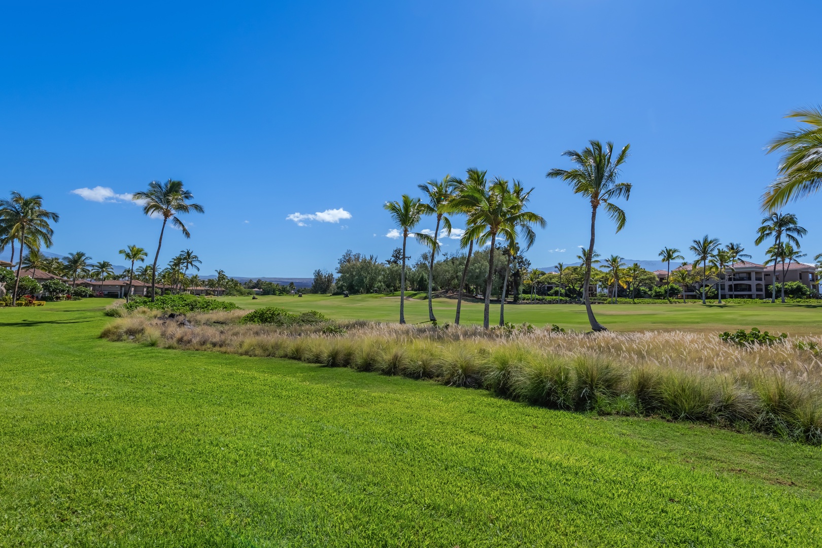 Waikoloa Vacation Rentals, Waikoloa Colony Villas 403 - Relaxing backyard view with lush greenery and tropical palm trees.