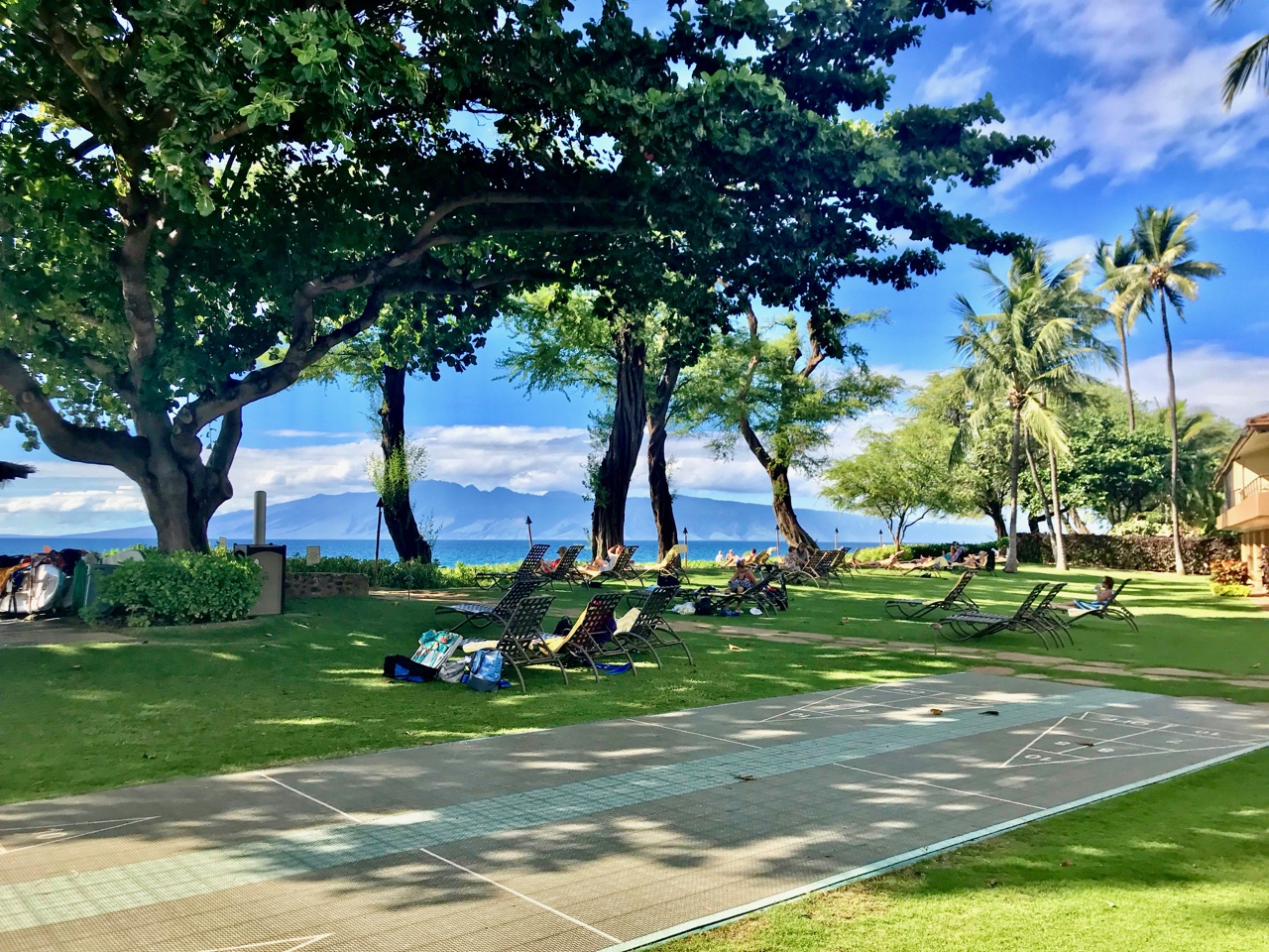 Lahaina Vacation Rentals, Maui Kaanapali Villas 292 - Relax in the shade of lush trees with a stunning view of the ocean in the distance