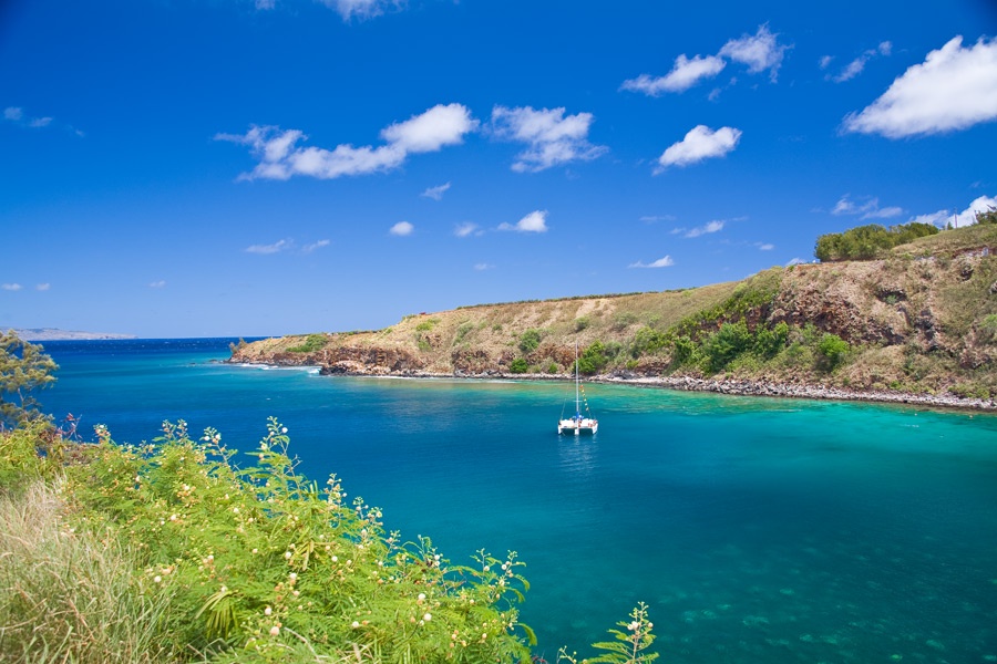 Kapalua Vacation Rentals, Ocean Dreams Premier Ocean Grand Residence 2203 at Montage Kapalua Bay* - Honolua and Mokule`ia Bays located just north of Kapalua Resort have been protected by the State