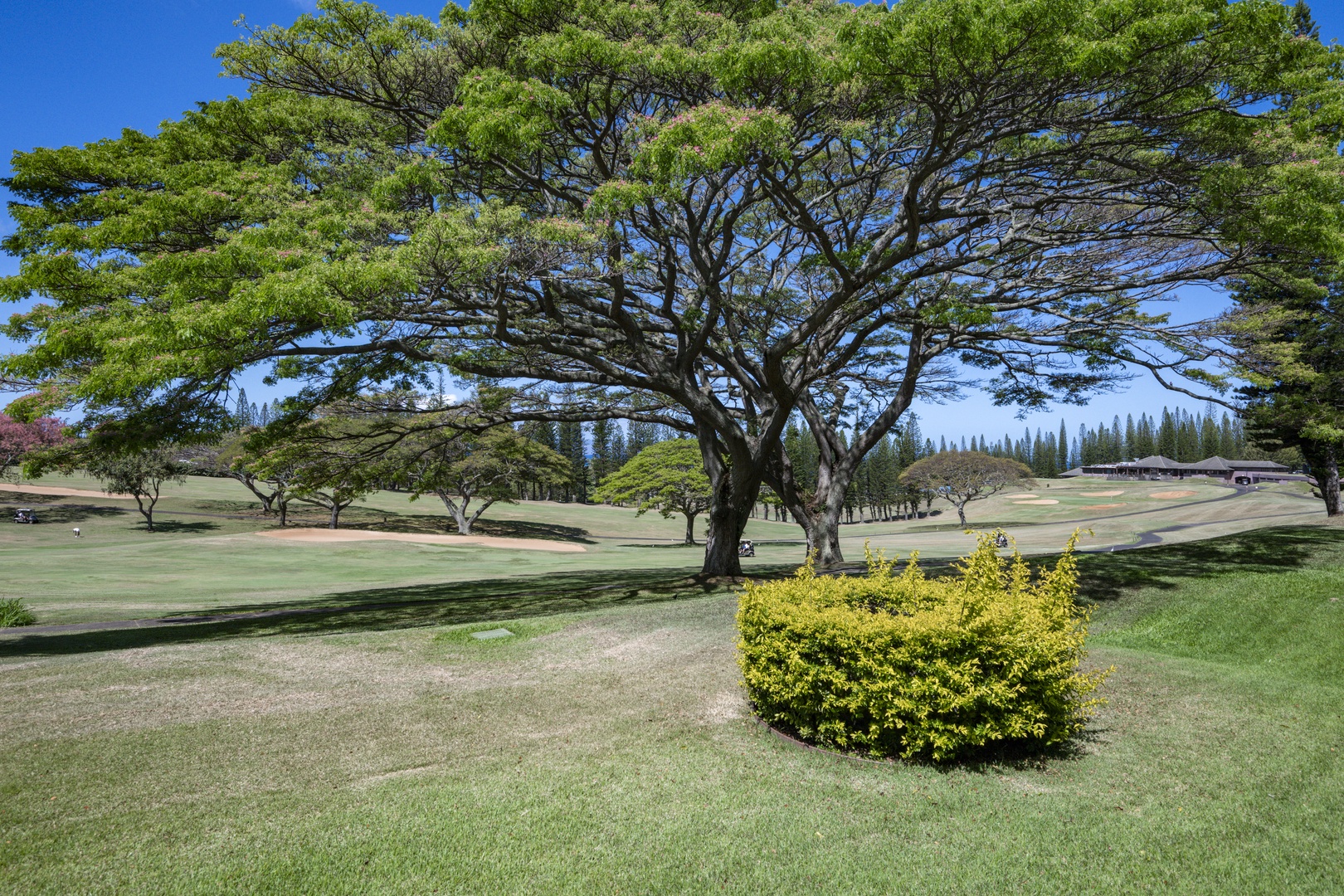 Lahaina Vacation Rentals, Kapalua Golf Villas 14P1-2 - Expansive golf course views from the lanai set the tone for relaxing mornings in paradise.